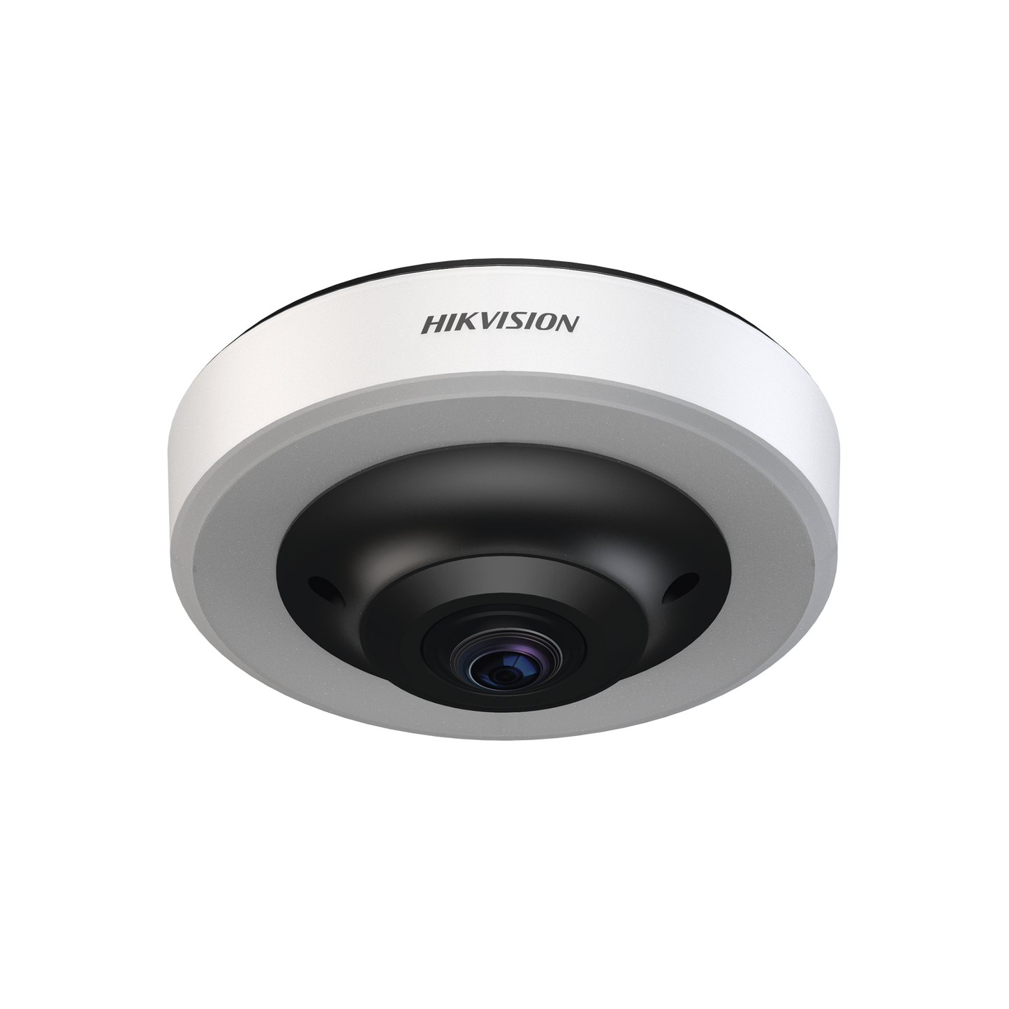 Fisheye IP 12 Megapixel (4K) / Para Detección de Espacios de Estacionamiento / 16 Espacios Ocupados o Libres / Interior / PoE / Color Azul y Rojo / IA Integrado