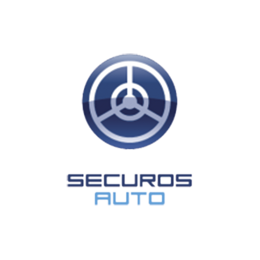 GARANTIA  PRIME 1 AÑO ADDON DE RECONOCIMIENTO CLASE/COLOR/MARCA/MODELO EN SECUROS AUTO (POR CAMARA)